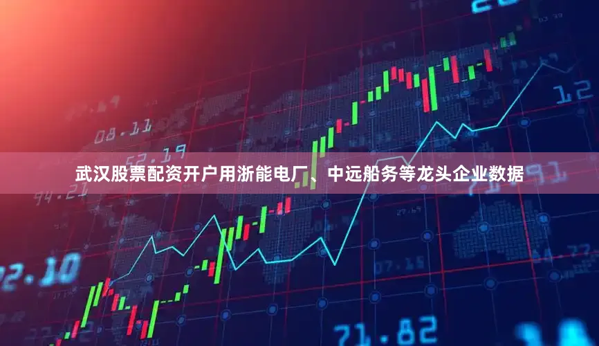 武汉股票配资开户用浙能电厂、中远船务等龙头企业数据