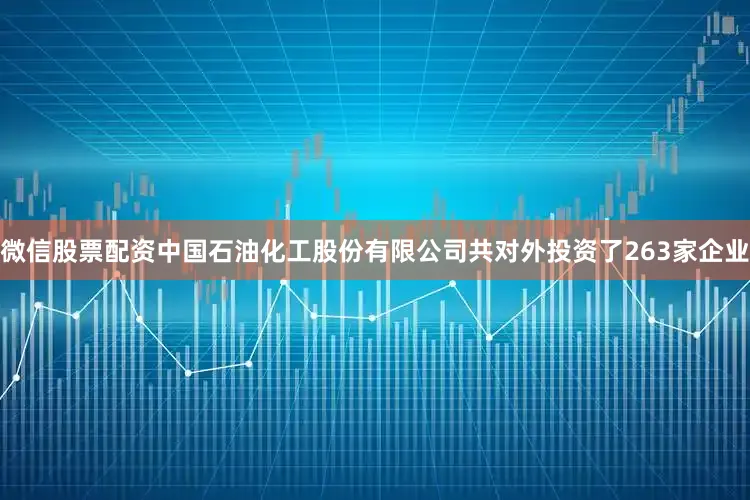 微信股票配资中国石油化工股份有限公司共对外投资了263家企业