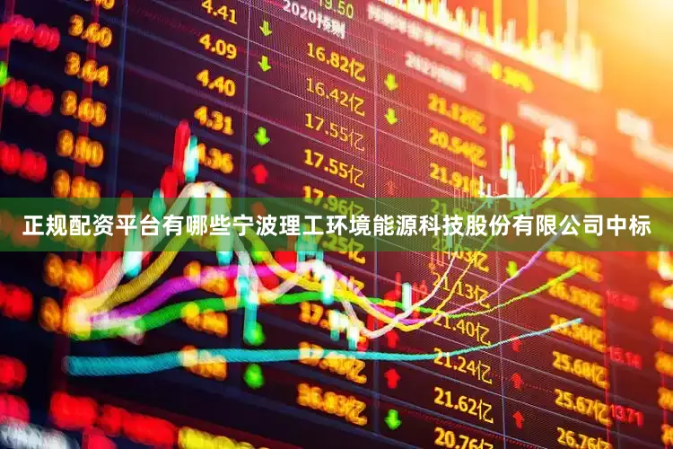 正规配资平台有哪些宁波理工环境能源科技股份有限公司中标