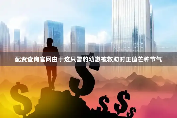 配资查询官网由于这只雪豹幼崽被救助时正值芒种节气